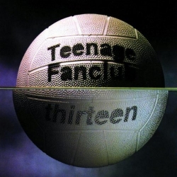 Teenage Funclub - Thirteen